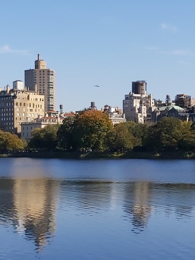 central-park-2019 (26)