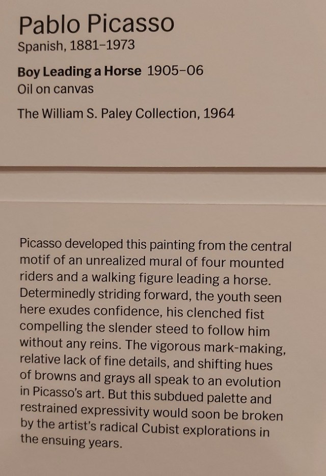 pablo-picasso-moma (4)