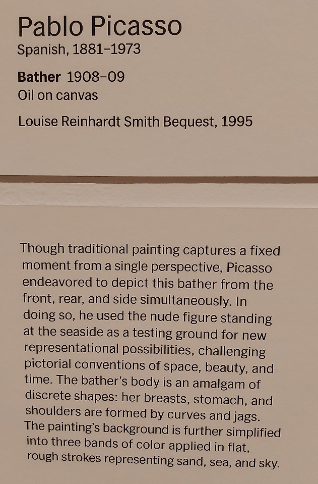 pablo-picasso-moma (6)