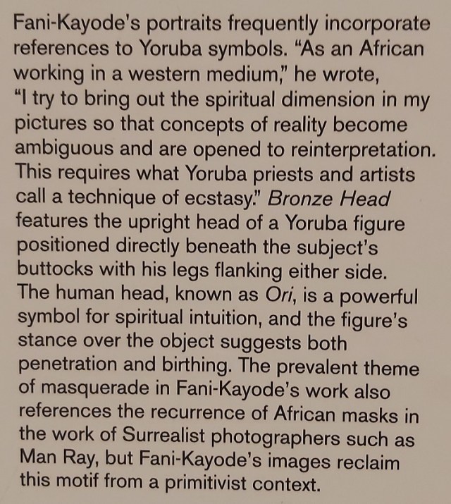 robert-mapplethorpe (1)