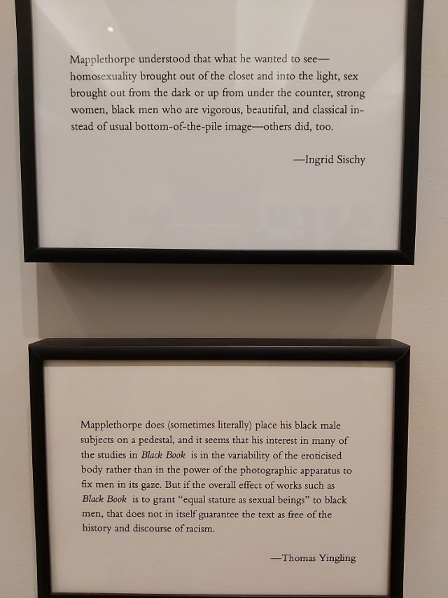 robert-mapplethorpe (11)