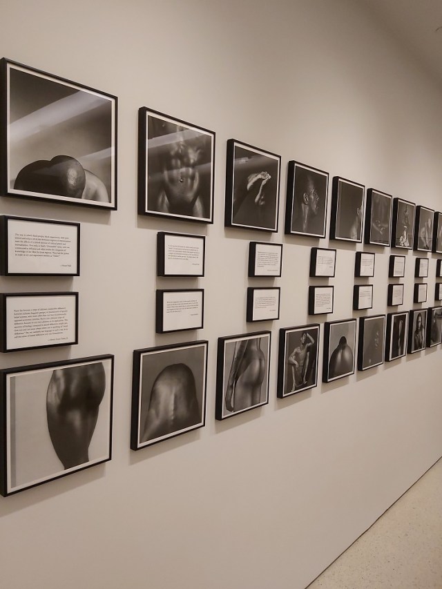 robert-mapplethorpe (14)