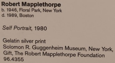 robert-mapplethorpe (9)