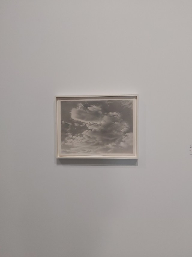 vija-celmins (31)
