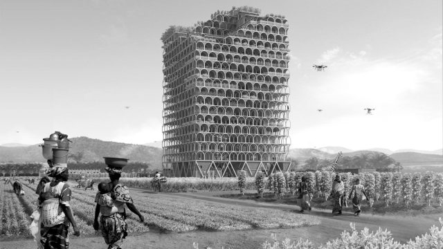 africa-vertical-farming-bw-1680x945