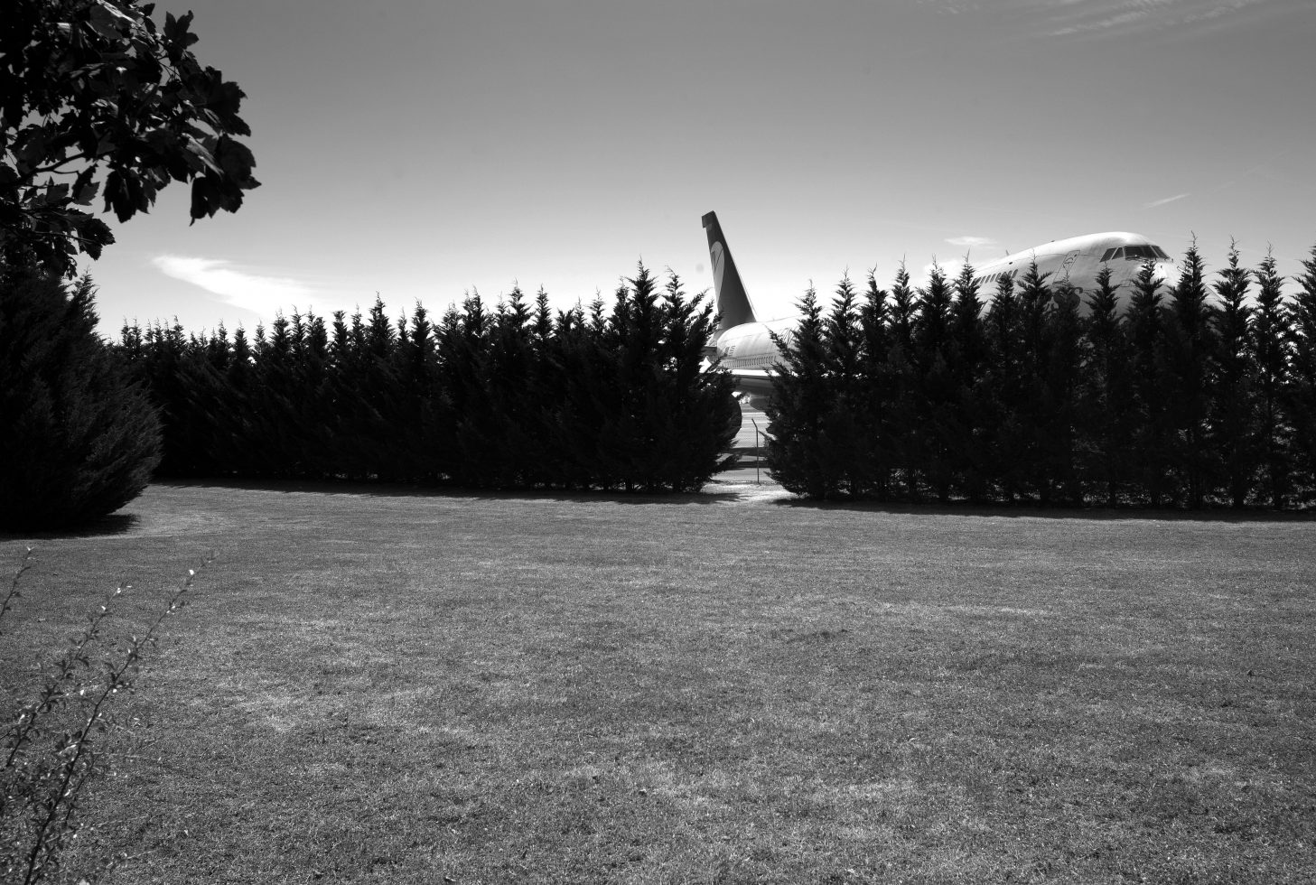 grounded-jumbo-E7J19B-1457x980