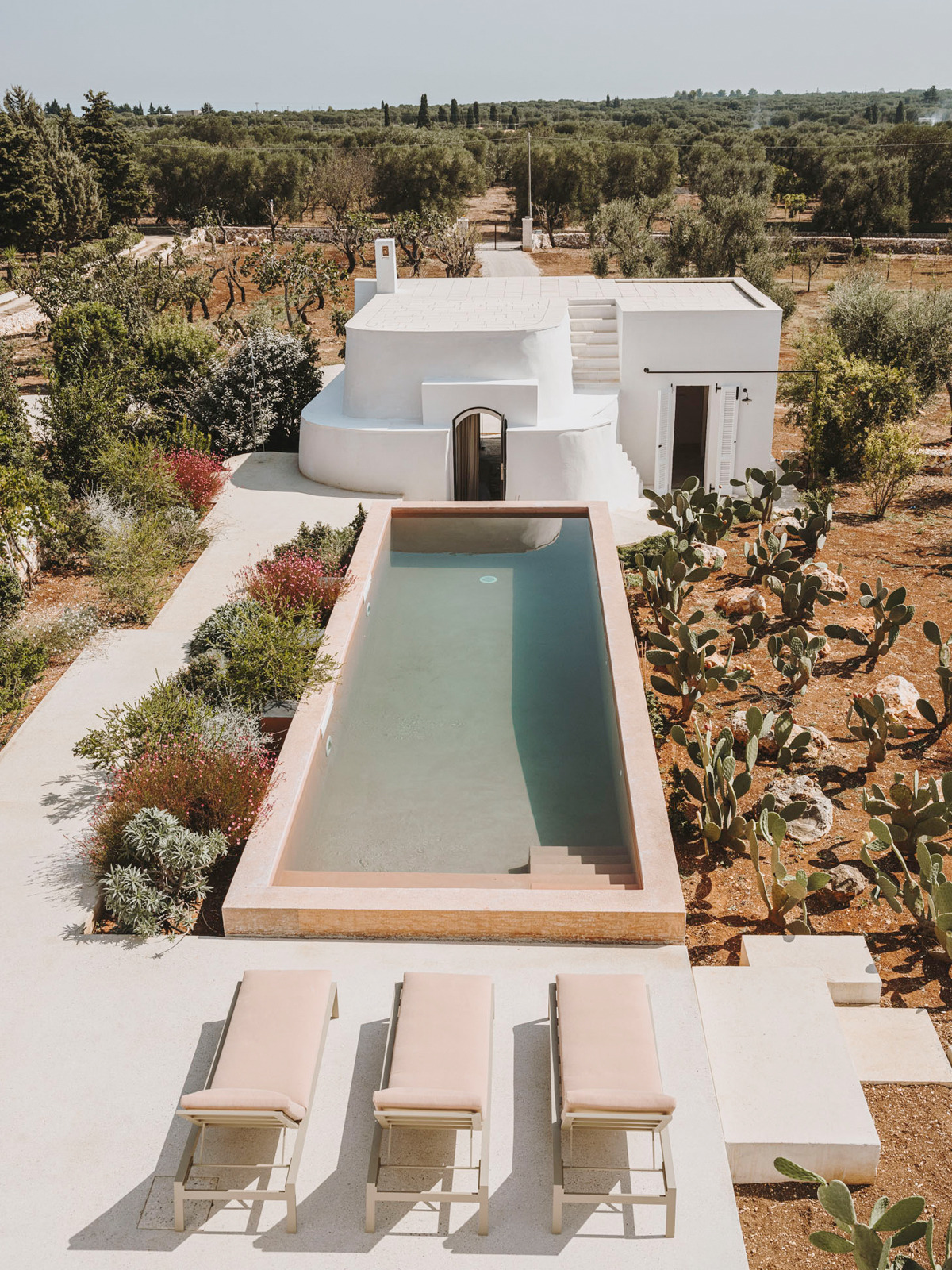 Andrew Trotter Architecture