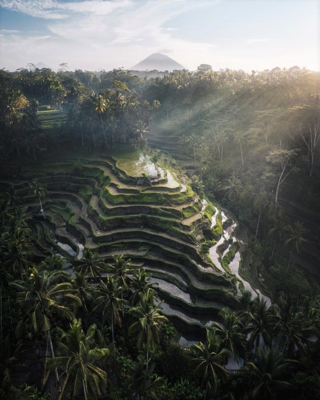 bali