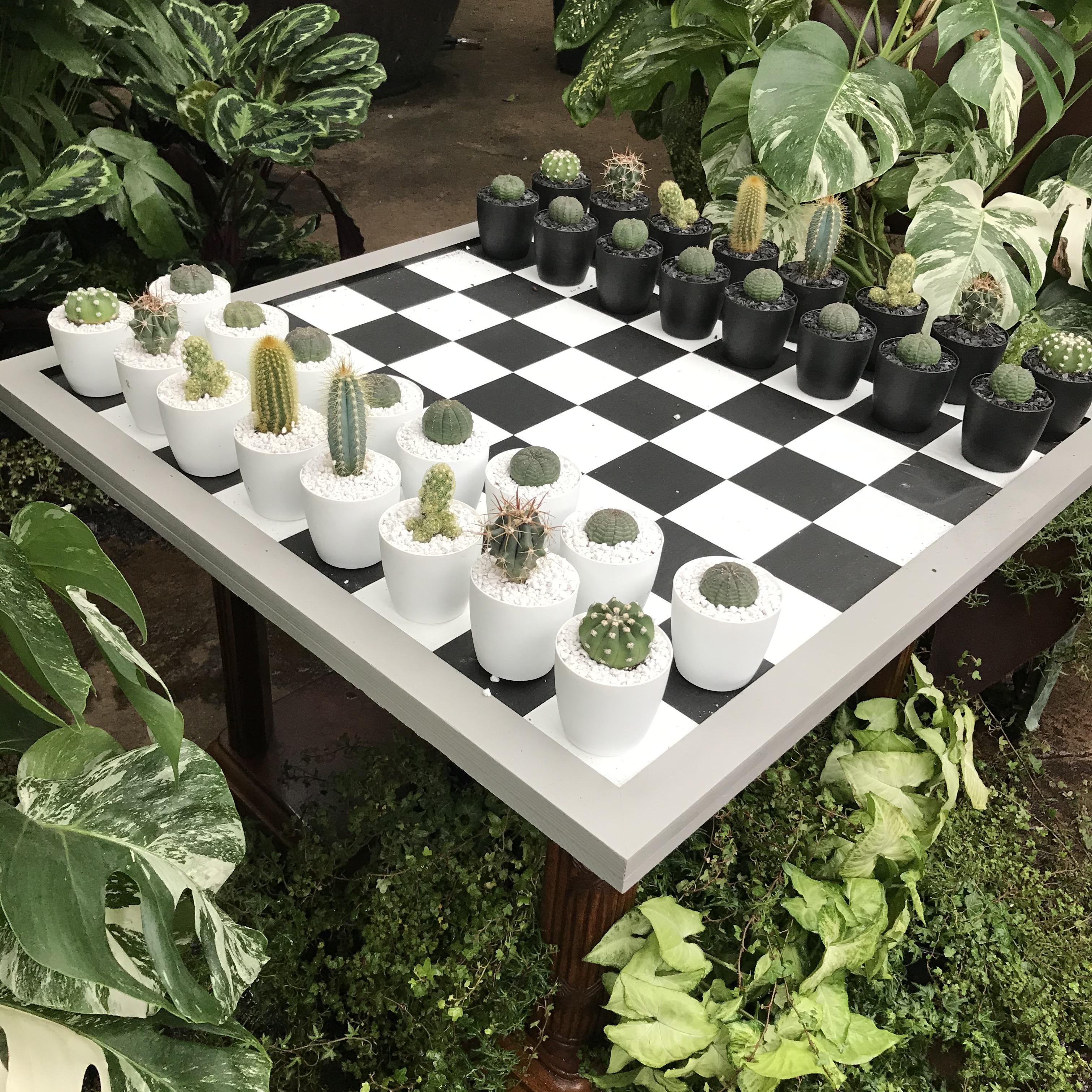 cactus-chess-set